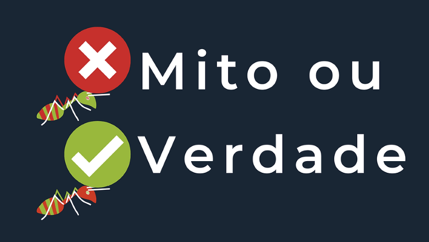 Os principais mitos sobre dedetização